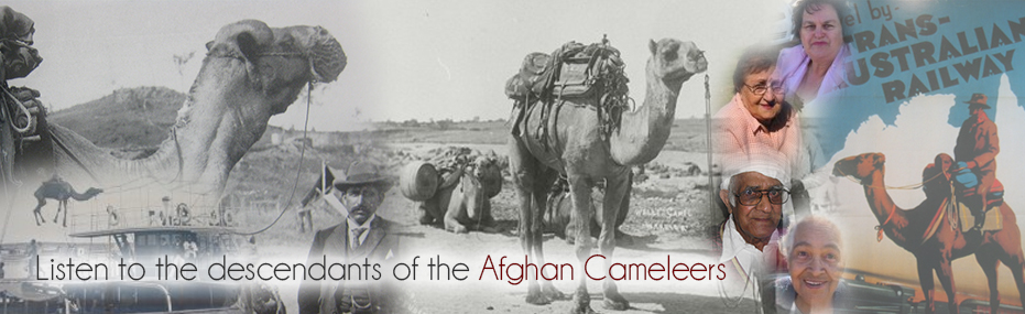 Afghan Cameleers