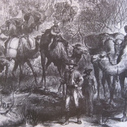 03-bw-exploring-with-camels-etching