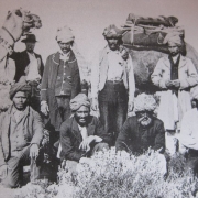 04-camels-afghans
