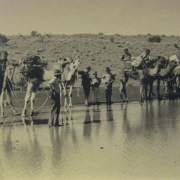05-camel-madigan-exp-1939